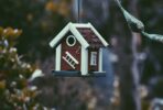 closeup photo of red and white bird house